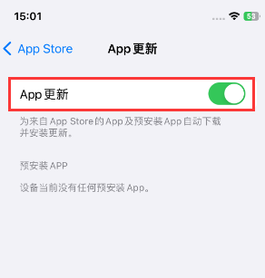 南郊苹果15维修中心如何让iPhone15APP自动更新